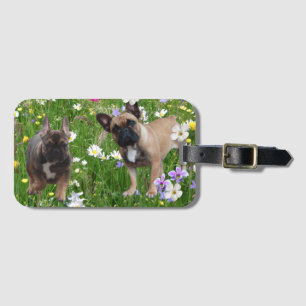 Französische. Bulldogge Luggage Tag