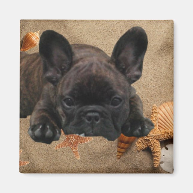 Französische Bulldogge Magnet (Front)