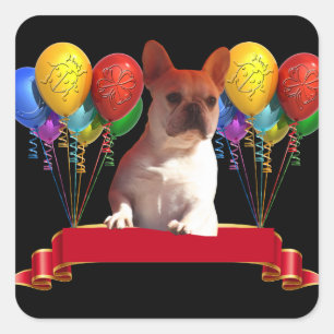 französische Bulldogge mit Ballons  Square Sticker