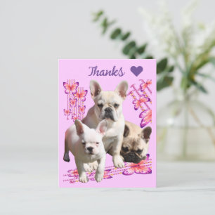 Französische Bulldogge mit drei Bulldoggen Postkar Postcard