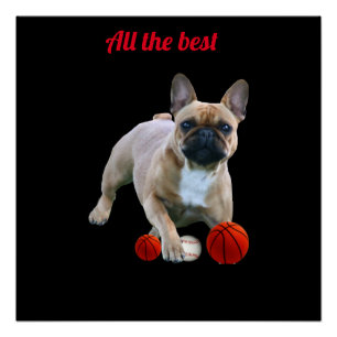 Französische Bulldogge Poster