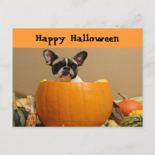 Französische Bulldogge Postkarte Happy Halloween Postcard