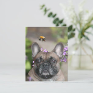 Französische Bulldogge Postkarte Invitation