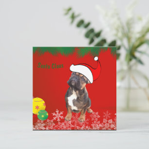 Französische Bulldogge Santa Claus  Invitation