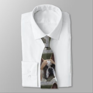 Französische Bulldogge  Tie