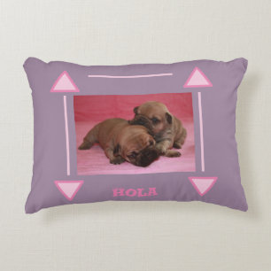 Französische Bulldogge Welpe Accent Pillow