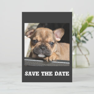 Französische Bulldogge Welpe Invitation