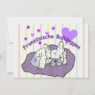 Französische Bulldoggen 