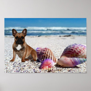 Französische Bulldoggen am Strand Poster