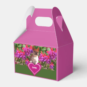 Französische Bulldoggen  Favor Box