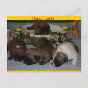Französische Bulldoggen Grußkarte Ostern Holiday Postcard
