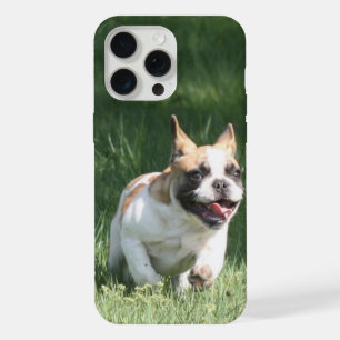 Französische Bulldoggen  iPhone 15 Pro Max Case