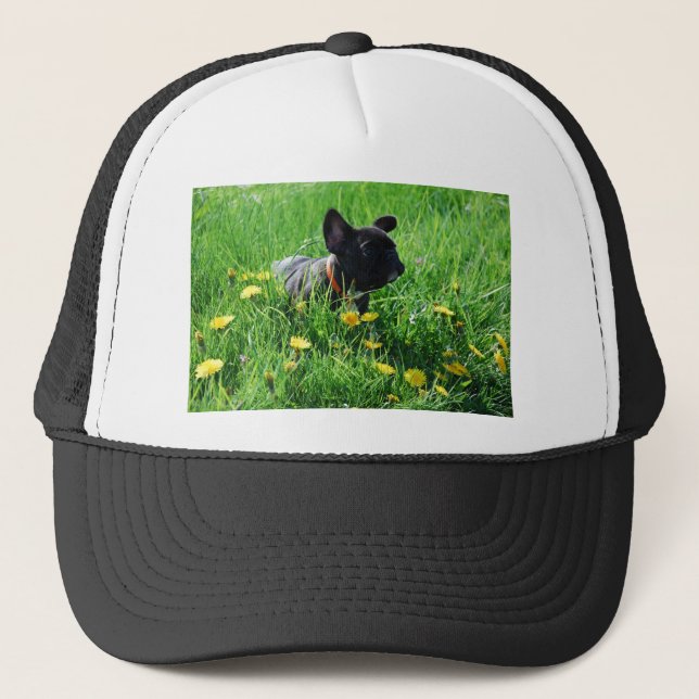 Französische Bulldoggen Kappe Trucker Hat (Front)