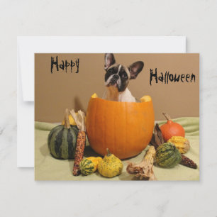 Französische Bulldoggen Kürbis French Bulldog Invitation