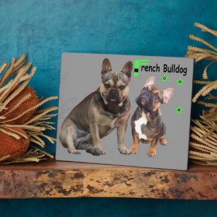 Französische Bulldoggen Plaque