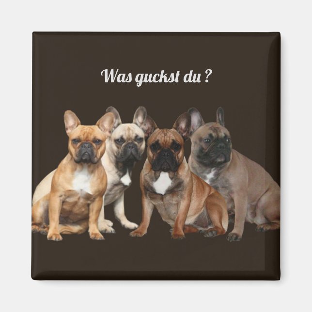  Französische Bulldoggen Was guckst du, Magnet (Front)