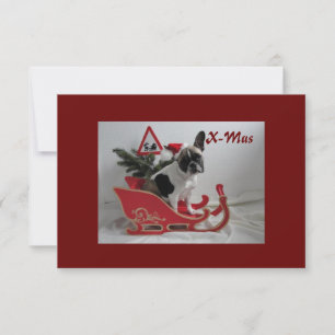 Französische Bulldoggen Weihnachten Grusskarte Invitation