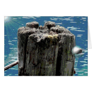 Frappent du pied la carte