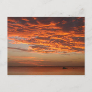 Fraser Island Sunset Postcard