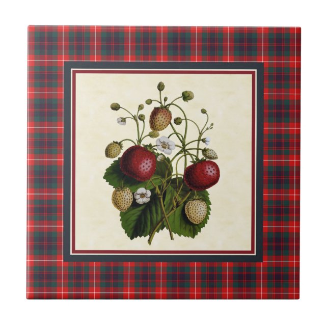 Fraser of Lovat Modern Tartan with Strawberry Tile (Front)
