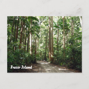 fraser rainforest postcard