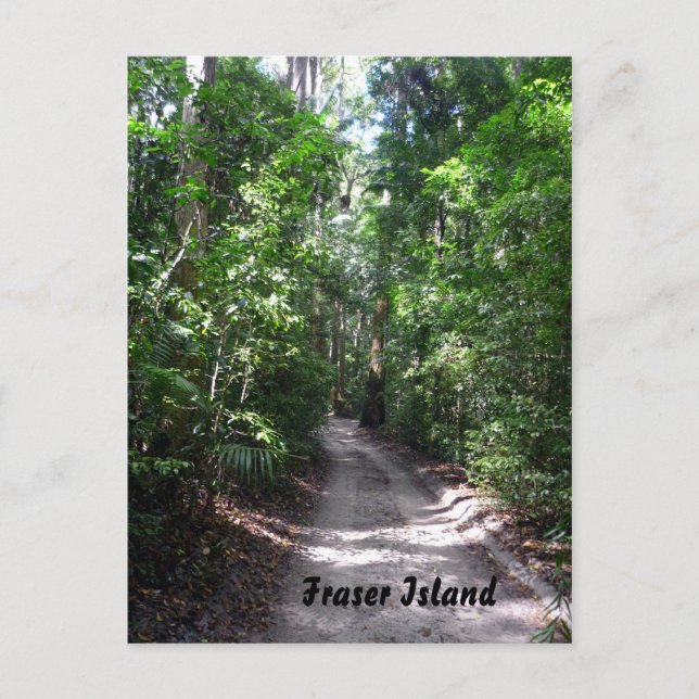 fraser rainforest track postcard (Front)