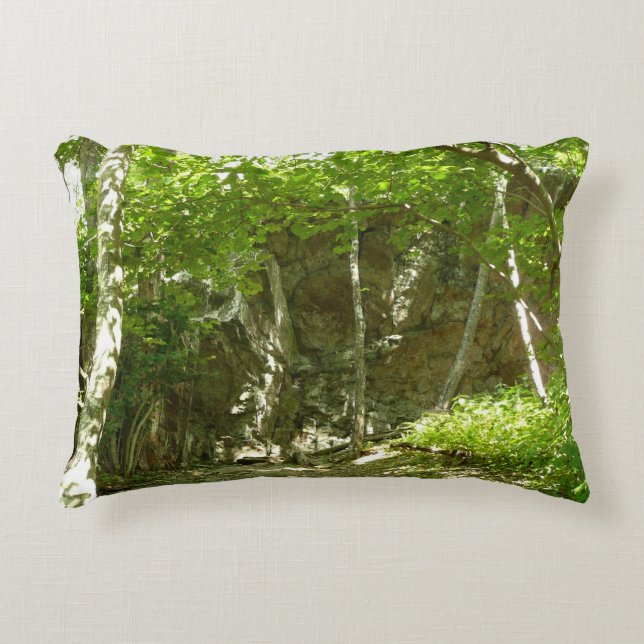 Frazier Discovery Trail at Shenandoah Photography Accent Pillow (Front)