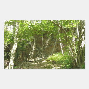Frazier Discovery Trail at Shenandoah Photography Sticker