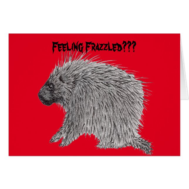 Frazzled Porcupine (Front Horizontal)