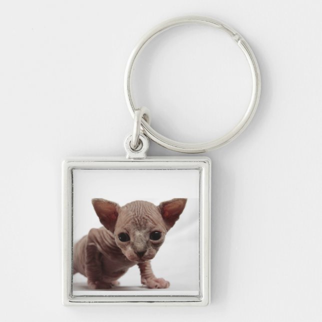 Freaky Cute Furless Sphynx Kitten Keychain (Front)