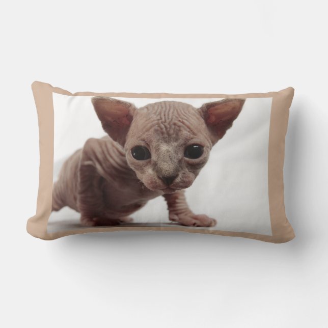 Freaky Cute Furless Sphynx Kitten Lumbar Pillow (Front)