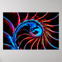 Freaky Nautilus