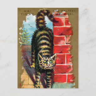 Frears Cat Trade Card #2 (of 6)