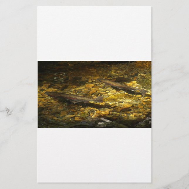 Freash water Trout. (Front)