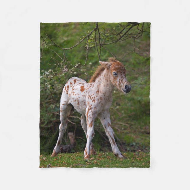 Freckles Fleece Blanket (Front)