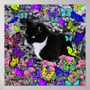 Freckles in Butterflies II - Tuxedo Cat Poster