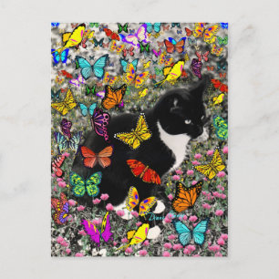 Freckles in Butterflies - Tux Kitty Cat Postcard