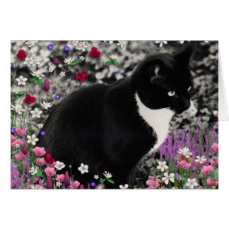 Freckles in Flowers II - Tuxedo Cat
