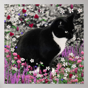 Freckles in Flowers II - Tuxedo Kitty Cat Poster