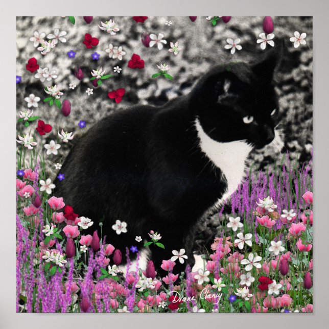 Freckles in Flowers II - Tuxedo Kitty Cat Poster (Front)