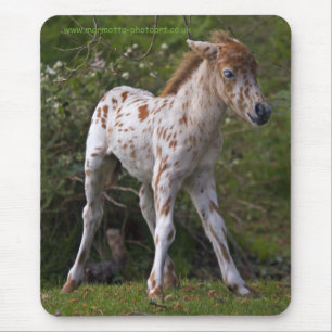 Freckles Mousemat Mouse Pad