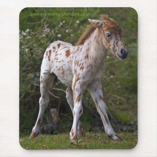 Freckles Mousemat Mouse Pad (Front)