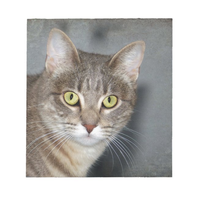 Fred Notepad (Front)