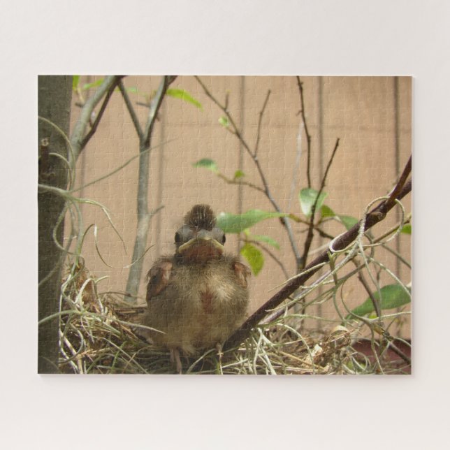 Fred the baby cardinal -- puzzle (Horizontal)