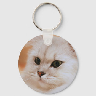 Freddie ~ Chinchilla Persians Keychain