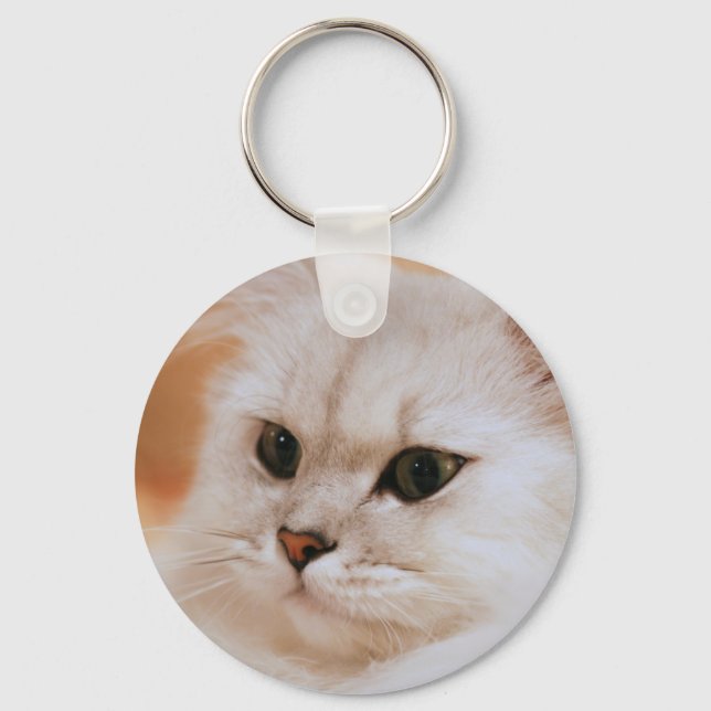 Freddie ~ Chinchilla Persians Keychain (Front)