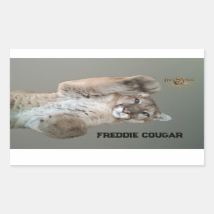 Freddie Cougar Sticker