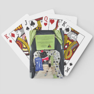 Freddie Playing Cards