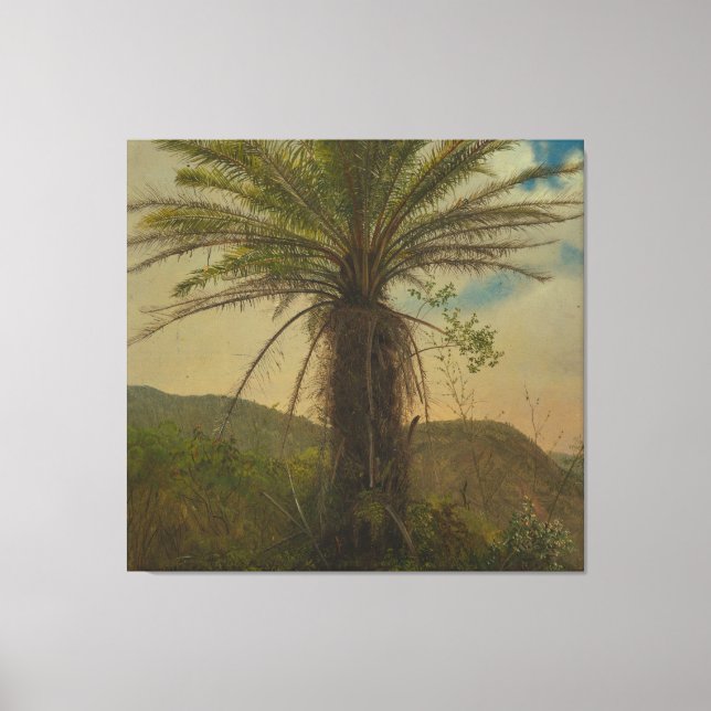 Frederic Edwin Church - Tree Fern, Jamaica Canvas Print (Front)