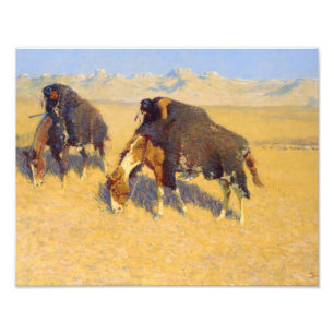 Frederic Remington - Indians Simulating Buffalo Photo Print